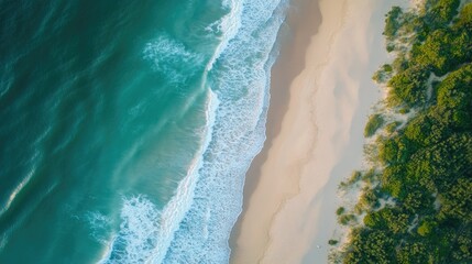 Aerial view of ocean waves gently washing onto a sandy beach lined with natural dunes, capturing the peaceful coastal scenery.
