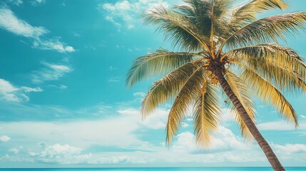 Palm Tree on a Tropical Beach with a Blue Sky and White Clouds.