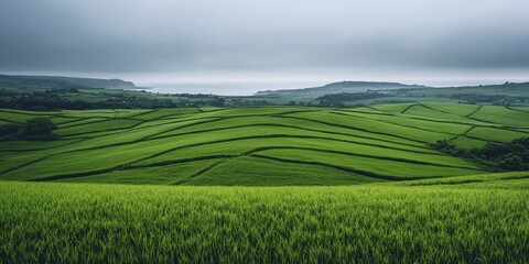Fototapeta premium Intriguing Coastal Landscapes Merging Green Fields with Majestic Ocean Views