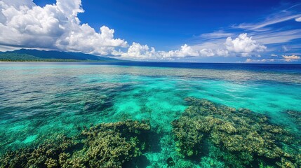 The breathtaking clarity of the ocean in Eastern Fiji, with a vibrant reef visible from above.