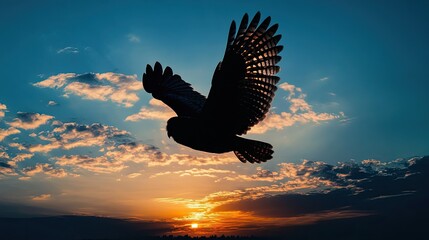 Obraz premium The outline of an owl in flight, captured as a silhouette against the rich blues and oranges of a sunset sky, creating a powerful and evocative image.