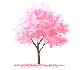 Obraz premium Vector watercolor blooming flower tree or forest side view isolated on white background for landscape and architecture drawing,elements for environment or and garden,Sakura tree for section 