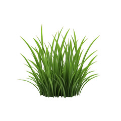 Vibrant green grass with lush blades, perfect for nature-themed projects, landscaping, or outdoor designs. transparent background