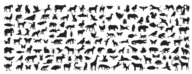 Animal silhouette collection. Set of black animal silhouette. Animal icons. Mammal, fish, insects, birds, reptiles silhouette collection. Wild, domestic animals icons