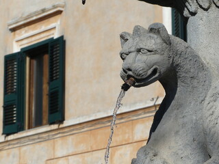 Tuscania 