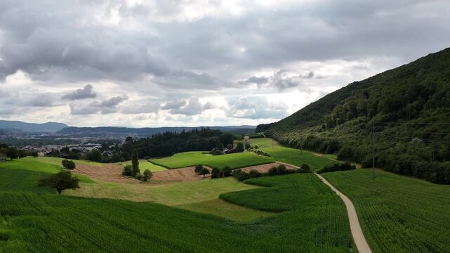 Luftaufnahme einer Wiese mit Sicht auf Dulliken