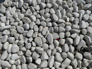 White pebbles stone texture and background suitable for sketchup texture, blender, enscape, lumion. White stone pattern background. Decorative white marble pebbles texture full frame background. 