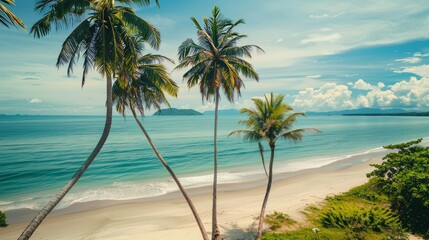 Obraz premium Palm trees, sand, sea. Summer vacation