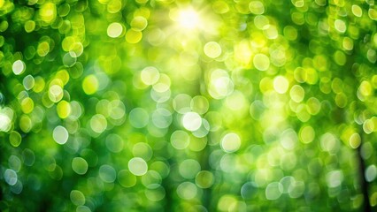 Fototapeta premium Abstract green bokeh background created by out of focus tree in nature, nature, blurred, foliage, abstract, colorful, lights