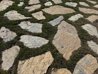 Stone path in green grass garden pattern. Dark stone path with green grass of a park. Green grass grows in seams. Exterior design rock pieces background.