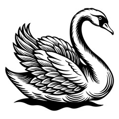 black and white swan vector silhouette © SibaPada
