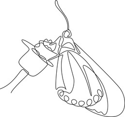 Beautiful butterfly one line art vector illustration