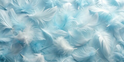 Fototapeta premium Angelic pastel tinted blue feather background with small fluffy feathers scattered , angelic, pastel, tinted, blue