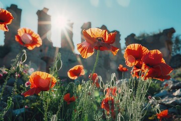 Obraz premium The ruins of the ancient city