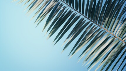 Obraz premium A close-up of palm leaves against a blue sky background.