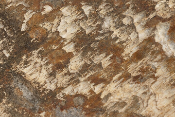 Beige and rufous rock. An interesting background or texture. Natural stone.