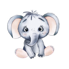 Cute watercolor baby elephant. Hand drawn illustration.