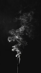 A swirl of white smoke rising elegantly against a dark background.