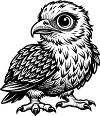 illustration baby eagle vector, cute baby eagle vector black and white, baby eagle outline vector