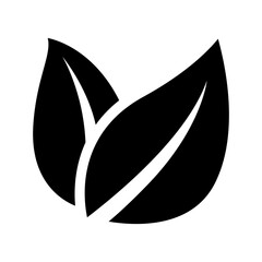 Leaves icon vector illustration graphic design