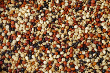 Quinoa seeds close up on background.