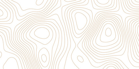 Abstract wave paper curved reliefs background .gradient multicolor wave curve lines banner background design .topographic contours map background .Vector geographic contour map.	