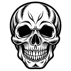 human skull vector illustration