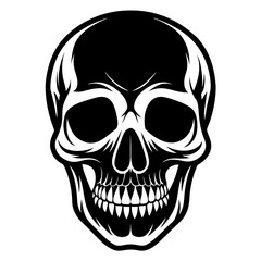 human skull vector illustration