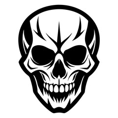 human skull vector illustration