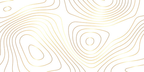 Abstract wave paper curved reliefs background .gradient multicolor wave curve lines banner background design .topographic contours map background .Vector geographic contour map.	