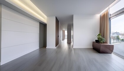Empty Modern Hall with Contemporary Design and White Walls, Inside a Studio Apartment.
