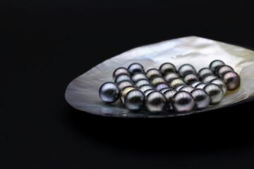 Expensive and luxurious Tahiti black pearls in a white shell on black background, ready to be made into earrings, pendants or necklaces and sold in jewelry store.