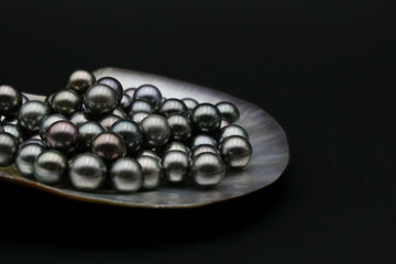 Expensive and luxurious Tahiti black pearls in a white shell on black background, ready to be made into earrings, pendants or necklaces and sold in jewelry store.