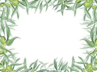 Olive twig with ripe and unripe olives. Branch with berry. Mediterranean lifestyle. Lush green leaves. Horizontal frame with copy space for text. Watercolor illustration. For culinary themes