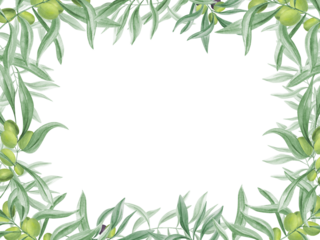 Olive twig with ripe and unripe olives. Branch with berry. Mediterranean lifestyle. Lush green leaves. Horizontal frame with copy space for text. Watercolor illustration. For culinary themes