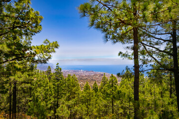 View of Santa Cruz de Tenerife seen from Teide National Park