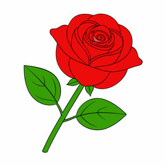 A rose art vector illustration