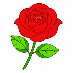 A rose art vector illustration