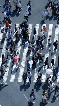 Aerial view of pedestrians walk crossing road intersection junction in downtown. Tokyo, Japan.	
