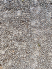 Top view of stone arrangement on the ground for foot reflection. Lapangan Pancasila, Kota Salatiga, Jawa Tengah, Indonesia.