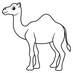 Camel colouring page line art vector illustration