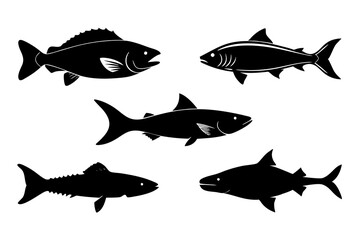 set of fish isolated