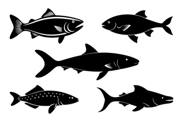 set of fish isolated