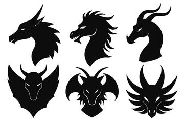 black and white horse