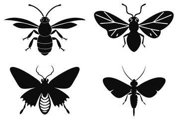 collection of insects