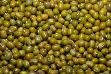 Mung beans (Vigna radiata) are small, green legumes widely cultivated for their high nutritional value and versatility in cooking. Native to Asia|綠豆