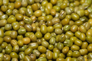 Mung beans (Vigna radiata) are small, green legumes widely cultivated for their high nutritional value and versatility in cooking. Native to Asia|綠豆