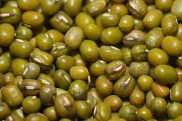 Mung beans (Vigna radiata) are small, green legumes widely cultivated for their high nutritional value and versatility in cooking. Native to Asia|綠豆