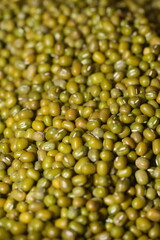 Mung beans (Vigna radiata) are small, green legumes widely cultivated for their high nutritional value and versatility in cooking. Native to Asia|綠豆