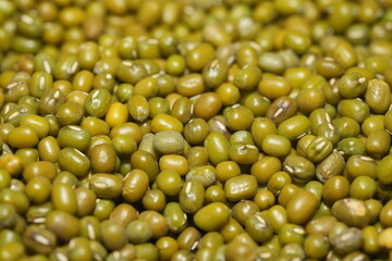 Mung beans (Vigna radiata) are small, green legumes widely cultivated for their high nutritional value and versatility in cooking. Native to Asia